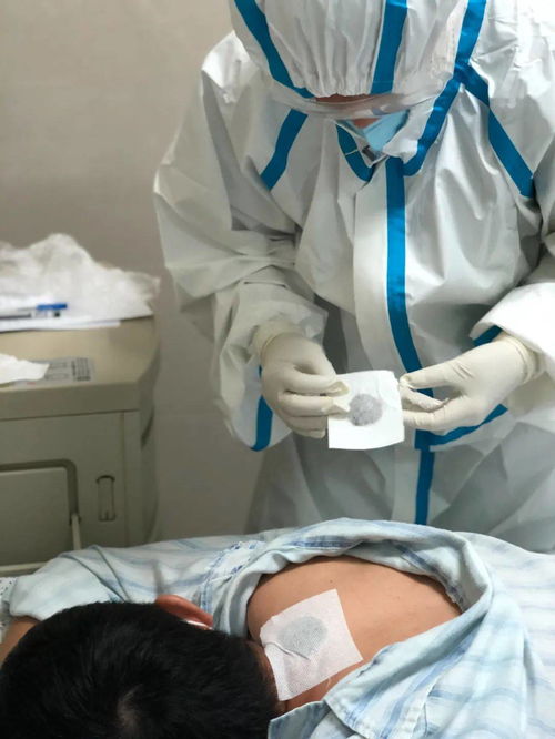 江门市 高质量推进中医医疗服务体系建设，强化信息系统运行维护服务